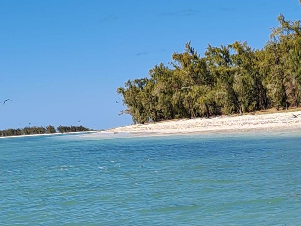 Ile aux Cocos