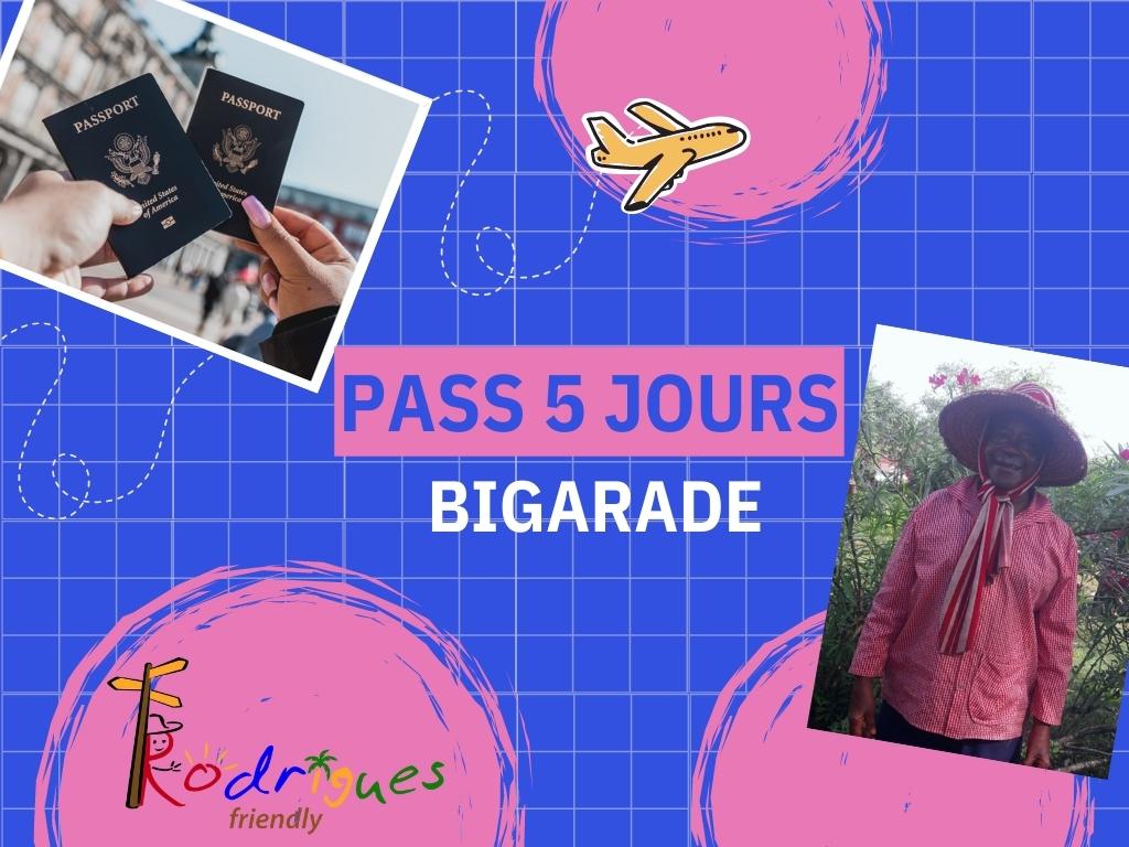 Rodrigues PASS Tourisme – BIGARADE (Iles du sud, pont suspendu)